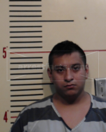 Diego Castro-Gomez