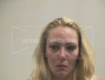 Amy L Elam