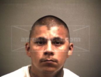 Stephen Flores