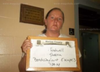 Sheena Fretwell