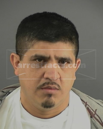 Abel O Martinez