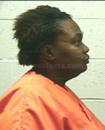 Shannon Michelle Shells