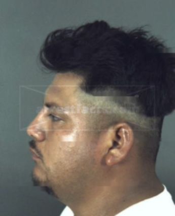 Ismael Dominguez-Rodriguez