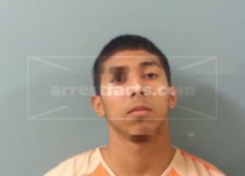 Alex Renaldo Flores