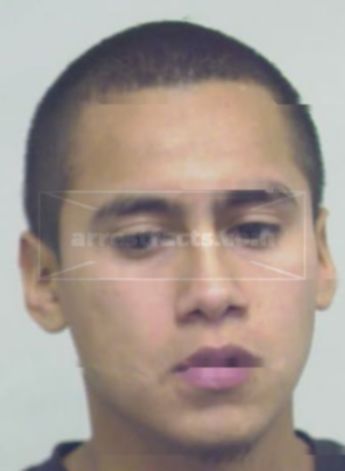 Martin Cerna