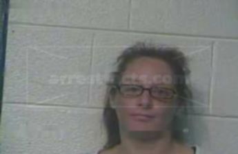 Elizabeth Ann Culp