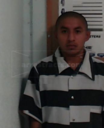 Saul Dominguez-Martinez
