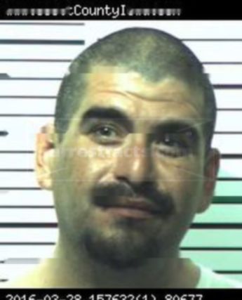 Ralph David Vega Iii