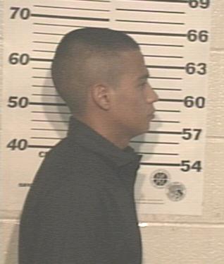 Jose Agustine Garcia Flores