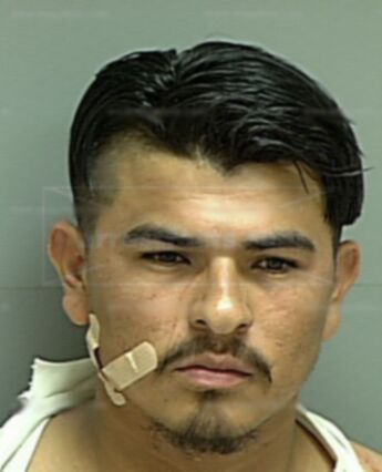 Wilmer O Guzman-Mejia