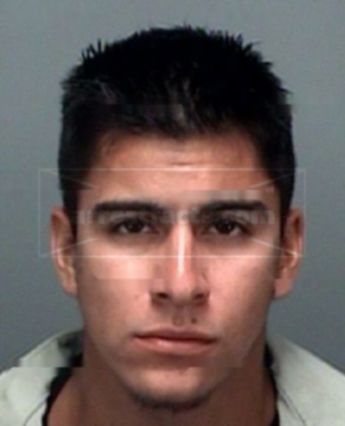 Pedro Delarosa-Martinez
