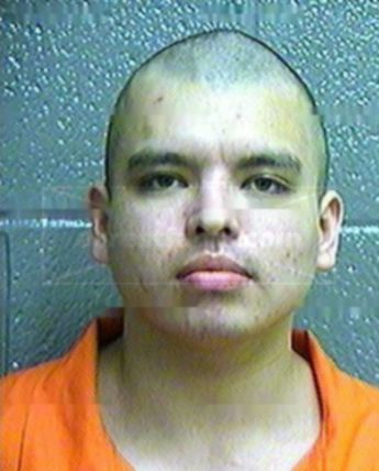 Robert L Lemons