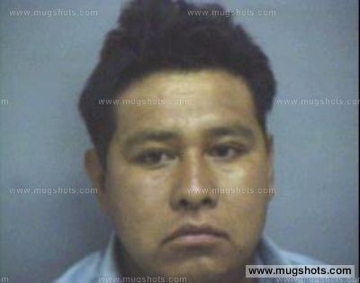 Nicolas Hernandez