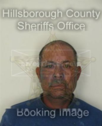 Bravlio Figueroa Bustamante