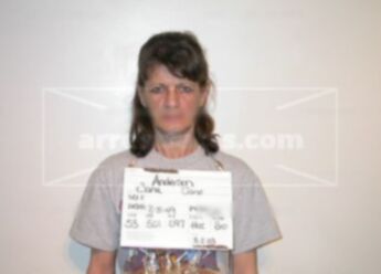 Sara Jane Strang Anderson