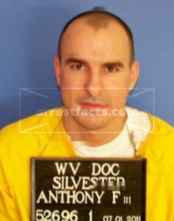 Anthony F Silvester Iii