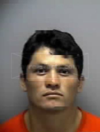 Jose Silviano Coyote