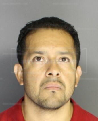Fernando Maldonado Jr