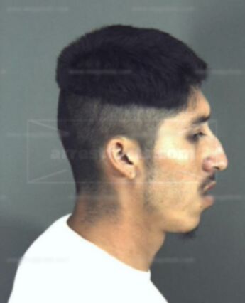 Eliseo Perez-Martinez