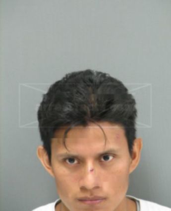 Ariel J Macario