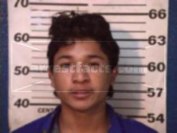 Domingo Verdin Bolanos