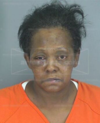 Carolyn Ann Adams