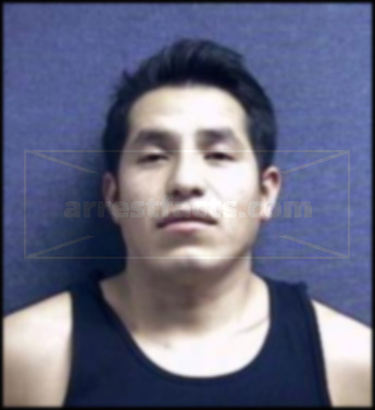 Marco A Hernandez Castaneda