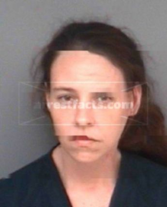 Wendy Ann Godsey