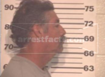 Nestor Efrain Anzaldua