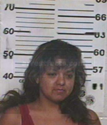 Idalia Guadalupe Garcia Vega