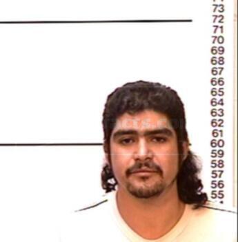 Ricardo Garza-Flores