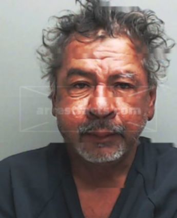 Manuel Flores Martinez