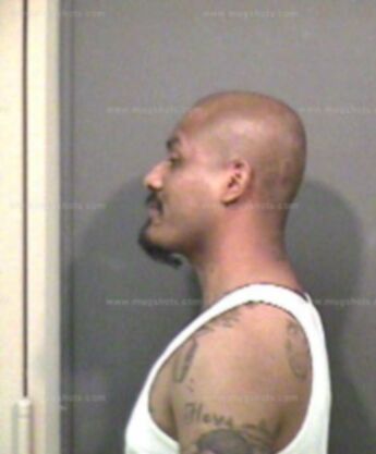 Omar F Camarillo
