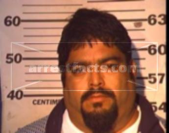 Mauricio Villarreal Ochoa