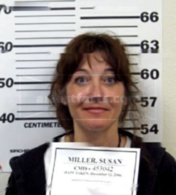 Susan L Miller