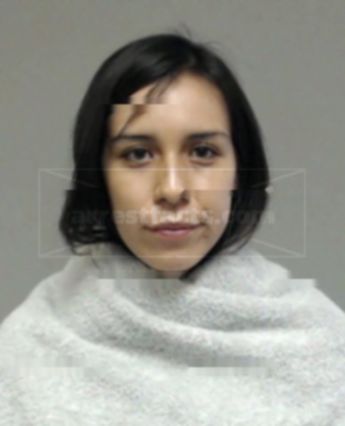 Briccia Paola Ponce Montanez