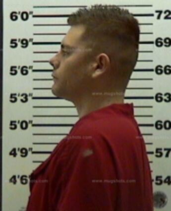 Steven M Griego