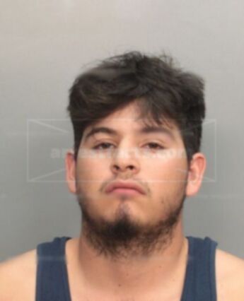 Daniel P Cortez
