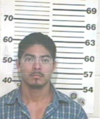 Jose Luis Ibarra
