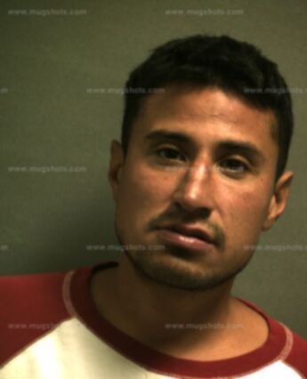 Ray Anthony Flores