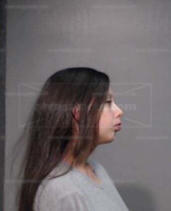 Patricia Ann Ebbesson