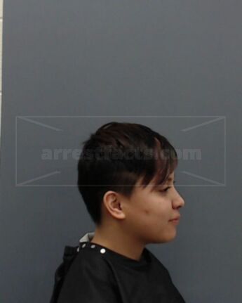 Nancy Lizet Abila