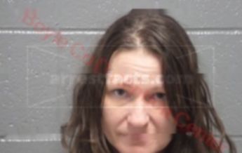 Shanda K Springer