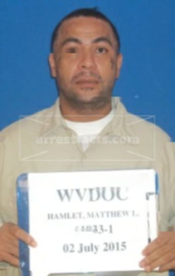 Matthew L Hamlet