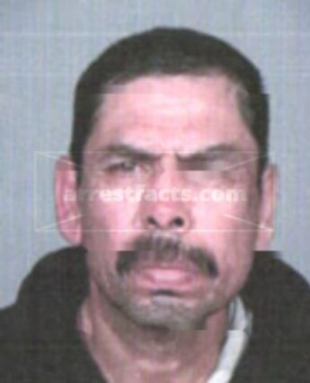 Joe Flores