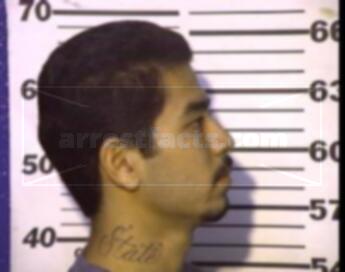Bruce Lee Medina