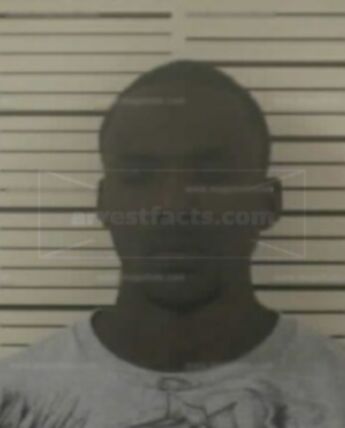 Robert M Webb