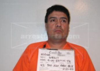 Alfred Perez Castillo