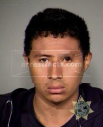 Darwin Josue Cruzochoa