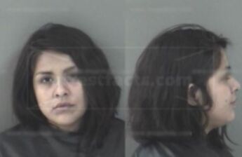 Ana Rosa Bustos